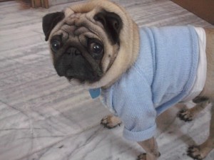 Photo0273